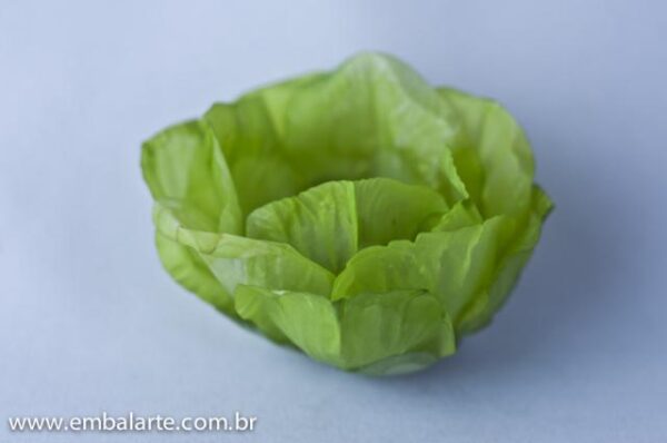 Flor rosa aberta papel vegetal