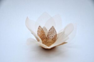 Flor tela brilho mod estrela