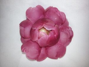 Flor camélia papel vegetal