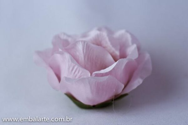 Flor rosa aberta cetim