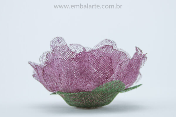 Flor rosa aberta tela cor