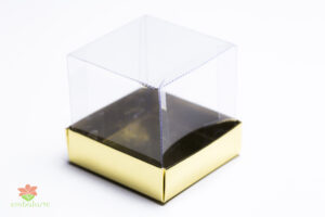 Caixa acetato 06x06x06 Revestida fundo papel cartao brilho