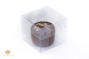 Caixa acetato 04x04x03,5