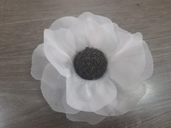 Flor rosa aberta translúcido