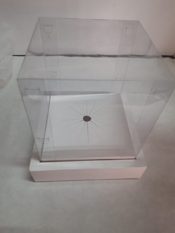 Caixa ovo em pé 13x13x18 branco ou kraft