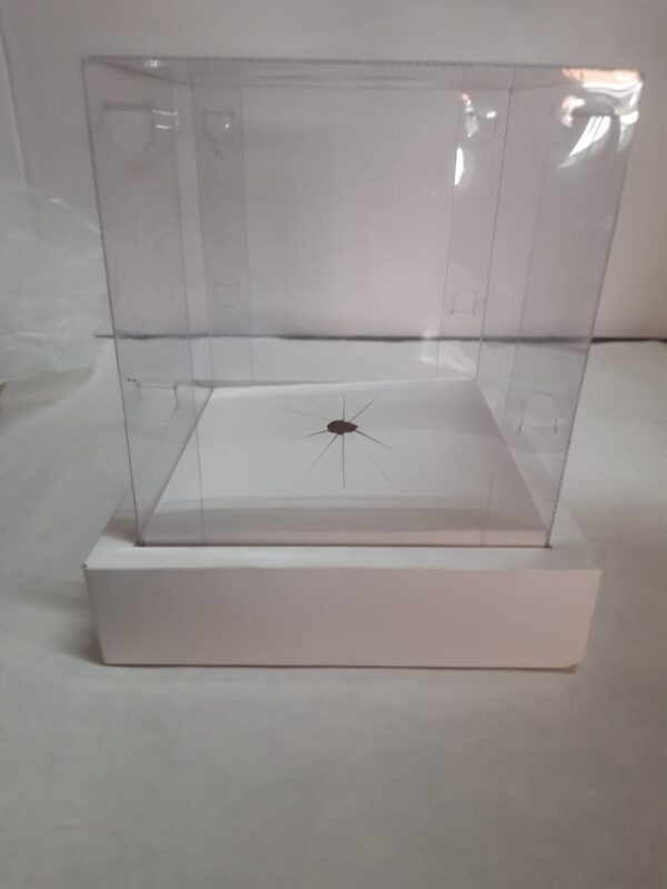 Caixa ovo em pé 13x13x13 branco/kraft