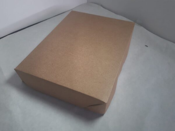 Caixa livro 25x20x04,5 branco/kraft