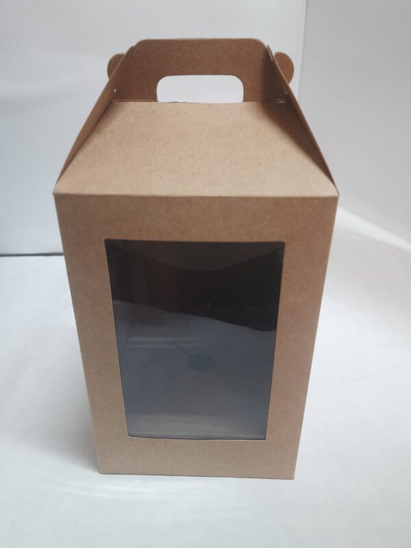 Bolsa 11x11x17 branco ou kraft