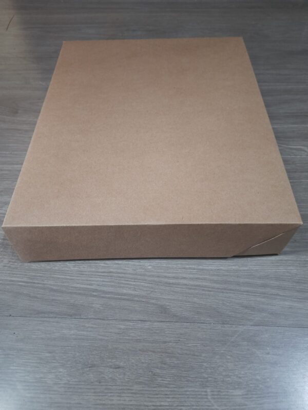 Caixa livro 29x24x05 papel cartão branco ou kraft
