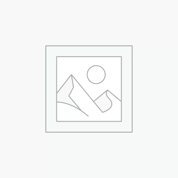 Flor pap kraft 6 pontas 2 partes aramada mod lírio